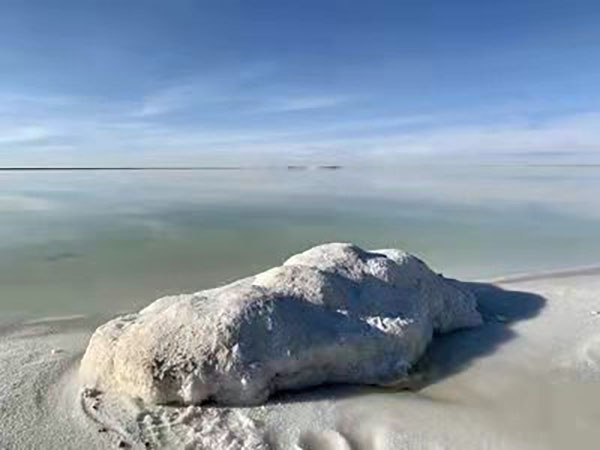 鋰資源可開采性 鋰資源可開采性