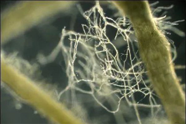 1648517125142001.jpg 2.jpg