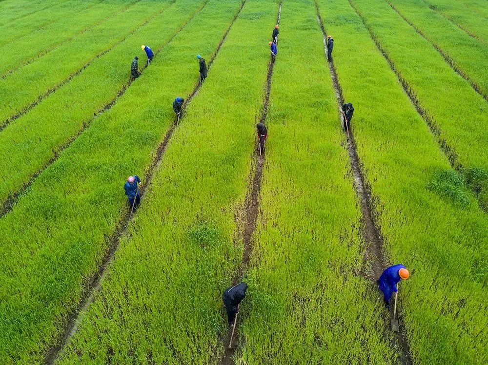 1649297583575202.jpg 1.jpg